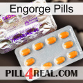 Engorge Pills new12